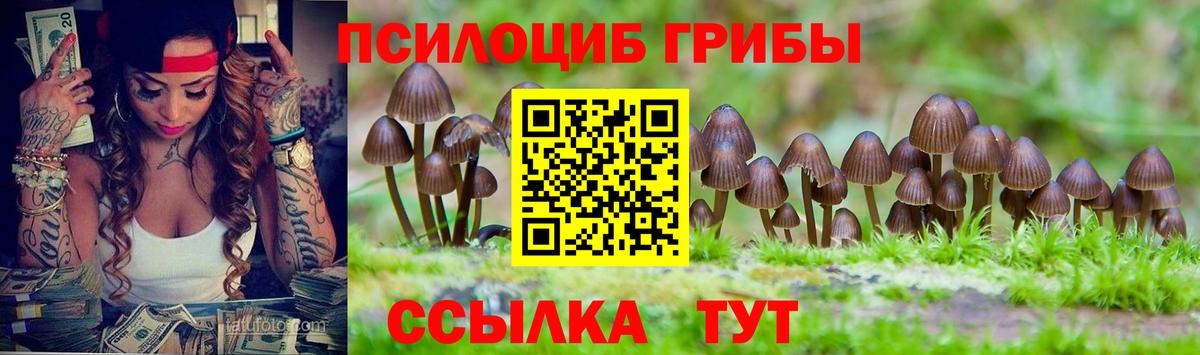 Галлюциногенные грибы мицелий Каменск-Уральский